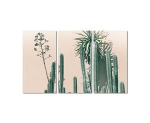 Blush Cacti Triptych - Canvas - Portrait - Stretched only - No Frame