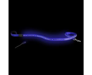 Loomo LED Dog Lead Blue