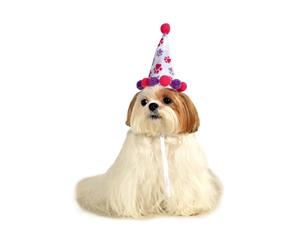 Paw Print Girl Pet Birthday Hat