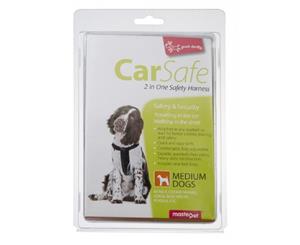 Yours Droolly Dog Car Harness