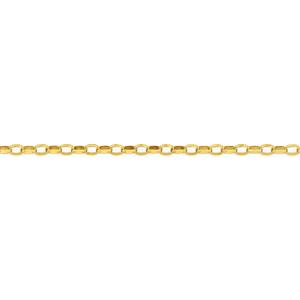 9ct Gold 27cm Oval Belcher Anklet