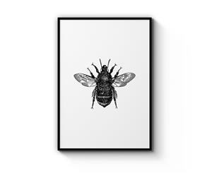 Bumblebee Drawing Wall Art - Black Frame