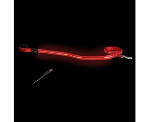 Loomo LED Dog Lead Red