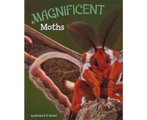 Magnificent Moths