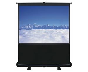 100" Pull Up Portable Office Projection Screen