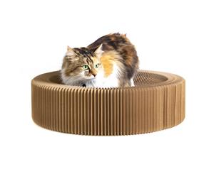 Cat Scratcher Collapsible Lounge Round Scratching Board & Bed