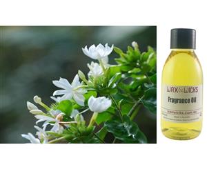 White Jasmine & Ivy - Fragrance Oil