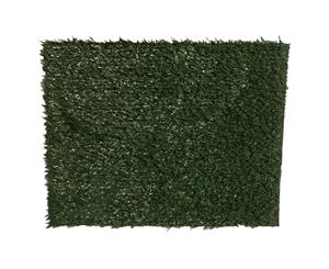 2 x Grass replacement only for Potty Pad 63 cm x 50 cm