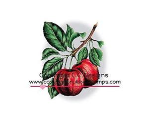 C.C. Designs - Doveart Cling Stamp 2.75X3.5 Apple Branch