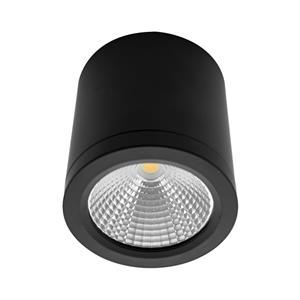 Lutec 10W LED IP54 Cool White Black Finish Sura Downlight