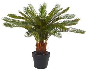 Rogue Plastic Metal Concrete Artificial Life-Like Cycas Plant - Ornament