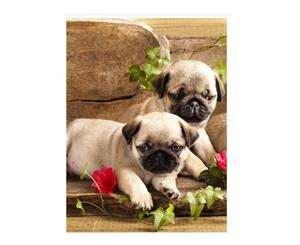 5D Diamond Painting Full Image Square Drills PUG PUPPIES 40x50cm