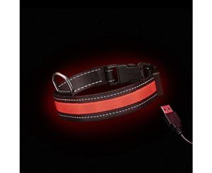 Loomo Moonshine LED Dog Collar Red