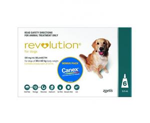 Revolution for Dogs 20-40kg - Green 6 pack + Canex Intestinal Wormer