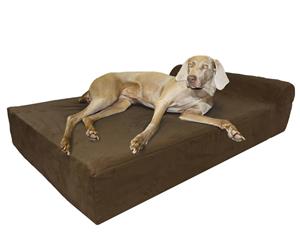 Big Paws Large Memory Foam Dog Bed Orthopedic with Bolster - Brown