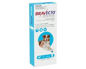 Bravecto Spot On Large Dog Blue 20 - 40kg 1 Pack