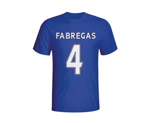 Cesc Fabregas Chelsea Hero T-shirt (blue)