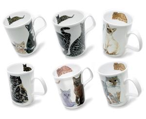 Roy Kirkham Cats Galore Lancaster Mugs Set of 6