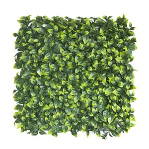 UN-REAL 50 x 50cm Artificial Hedge Tile - Pittosporum