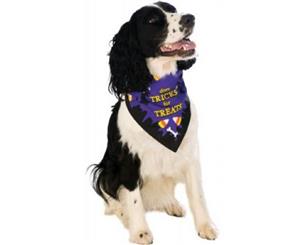 Does Tricks For Treats Dog Bandana