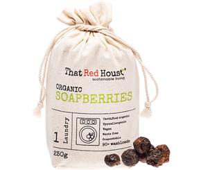 Organic Soapberries - 250g