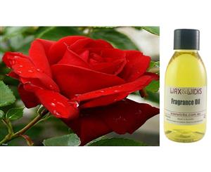 Tudor Rose & Amber - Fragrance Oil