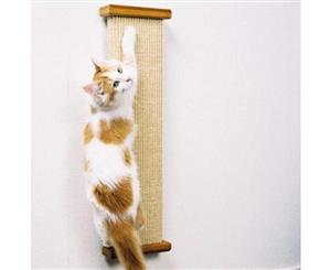 SmartCat Combination Scratcher