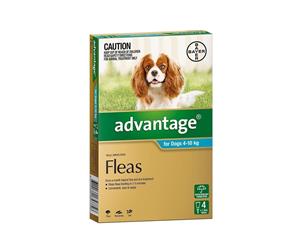 Advantage Dog Fleas Treatment 4-10kg Aqua 4's (B9020)