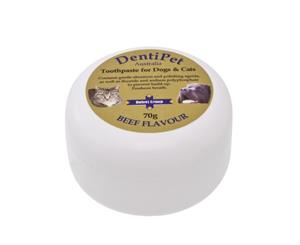 Dentipet Toothpaste Oral Pet Care for Cats Dogs Beef Flavour - (P3075)