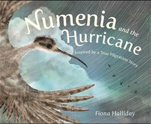 Numenia and the Hurricane  Inspired by a True Migration Story