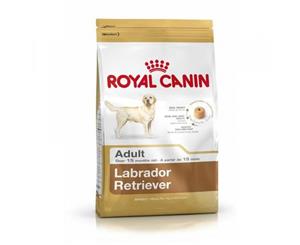 Royal Canin - Adult Labrador Retriever - Dry Dog Food