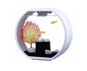 Blue Planet Aquarium Deco O Mini 10L White