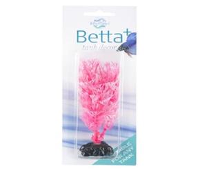 Blue Planet Betta Plant Style 1 Pink