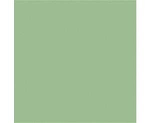 Clairefontaine Pastelmat Light Green Pack of 20 (25x35cm)