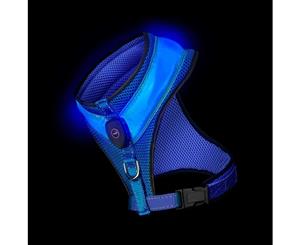 Loomo LED Mesh Harness Blue