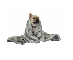 T & S Lux Fur Pet Blanket