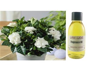 Gardenia & Wild Truffle - Fragrance Oil