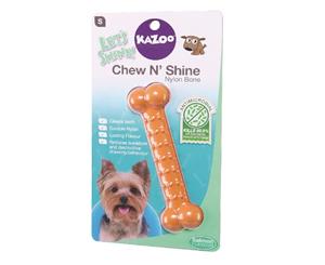 Kazoo Chew N Shine Nylon Bone Salmon