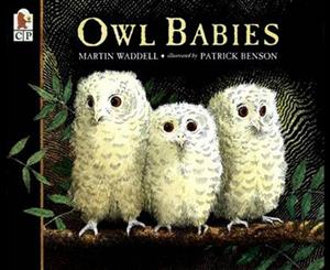 Owl Babies