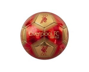 Liverpool FC Anfield Skill Ball Signature