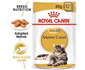 Royal Canin Feline Maine Coon In Gravy Cat Food 12X85g