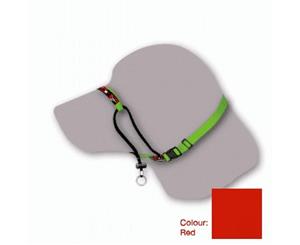 Black Dog Training Halter Red