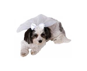 Dog Wedding Veil