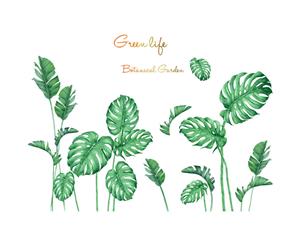 Large Green Vegetation Wall Stickers Decals (Size 106.5cm x 76.5cm)