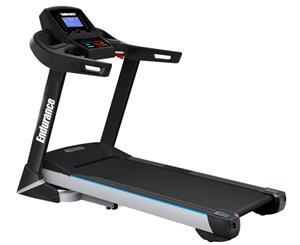 Endurance Attack Treadmill