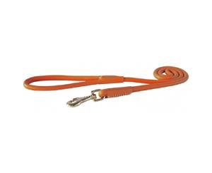 Rogz Leather Round Fixed Lead Orange