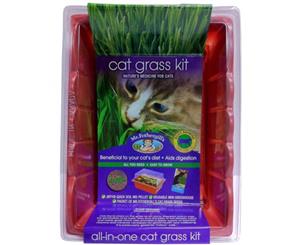 Mr Fothergill's Edible Cat Grass