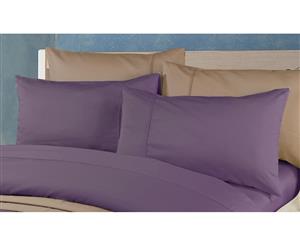 2000TC Cotton Rich Standard Pillowcases Pair - Eggplant