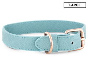 Dudley's World Of Pets Large Dog Collar - Teal