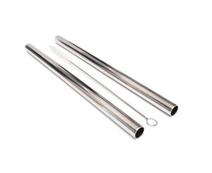 Stainless Steel Smoothie Straw - 2 Pack - Silver